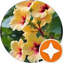 Sanjeev Kumar profile picture